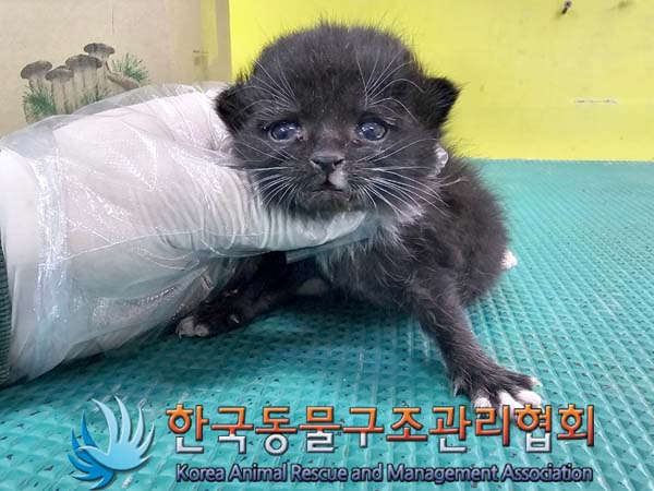 종료(자연사) 한국…