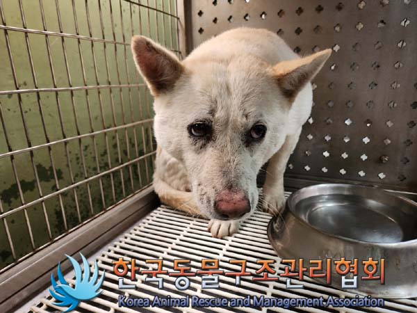 한국동물구조관리협회_441406202400400