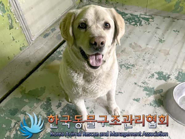 종료(반환) 라브라…