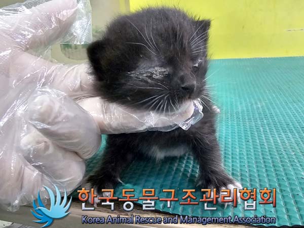 종료(자연사) 한국…