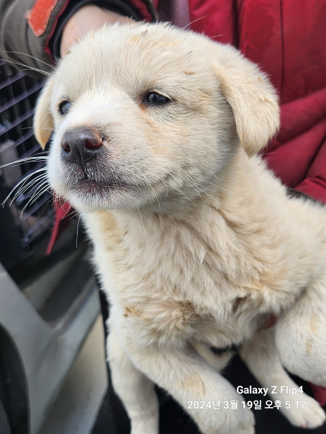 예산동물보호센터_444461202400146