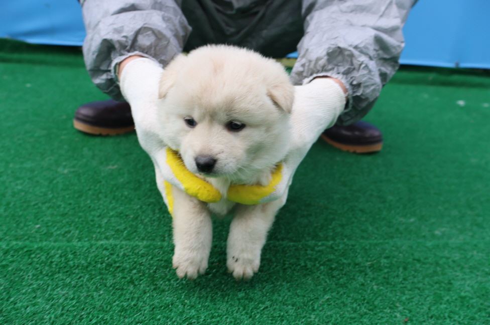 제주 동물보호센터_450650202400864