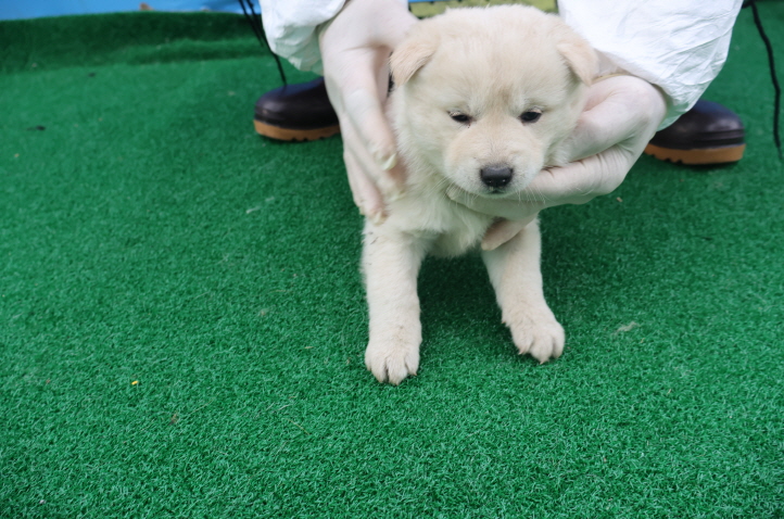 제주 동물보호센터_450650202400863