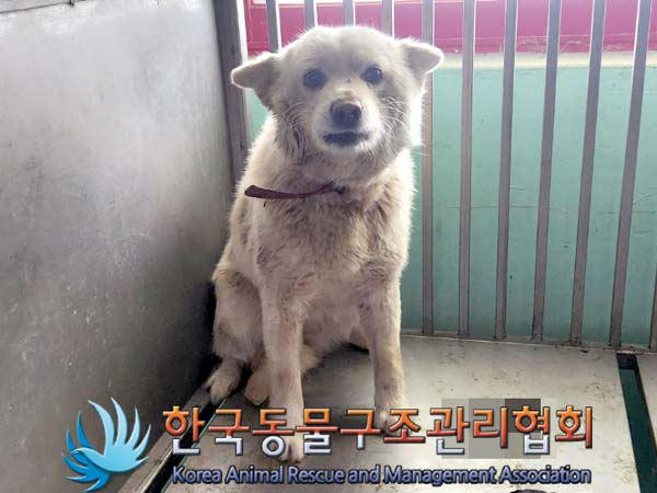 한국동물구조관리협회_441414202400114