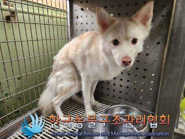 한국동물구조관리협회_411315202400112