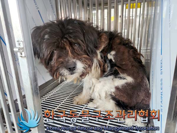 한국동물구조관리협회_441409202400317