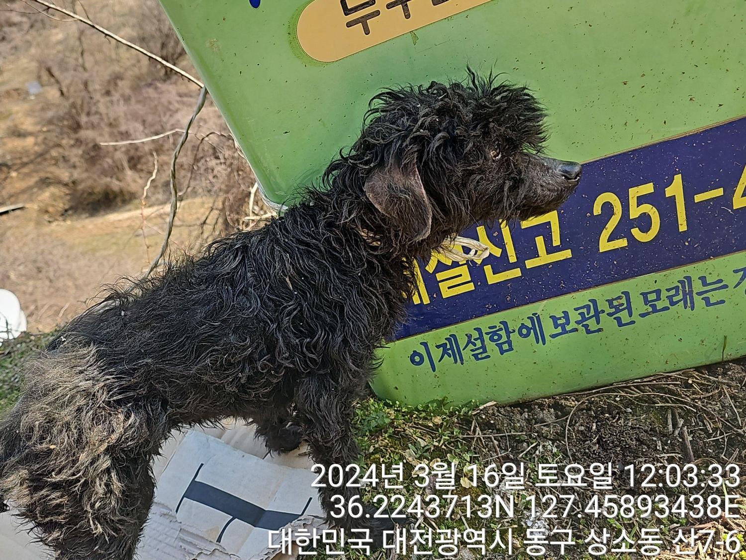 대전동물보호센터_430364202400063