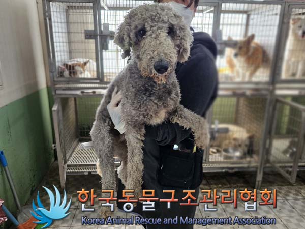 종료(반환) 베들링…