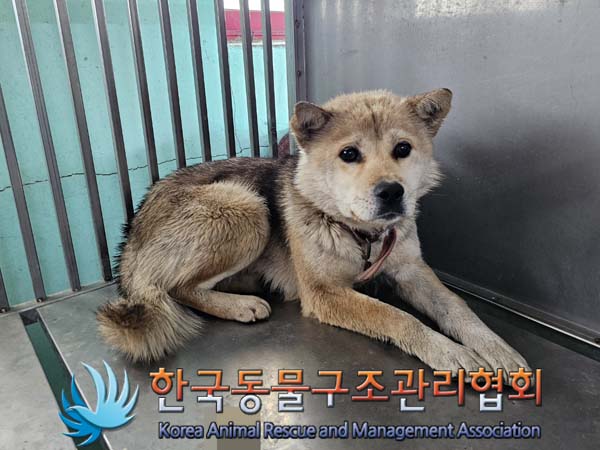 한국동물구조관리협회_441414202400123