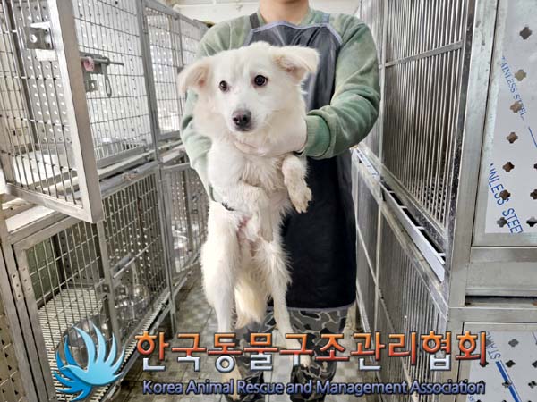 한국동물구조관리협회_411312202400233