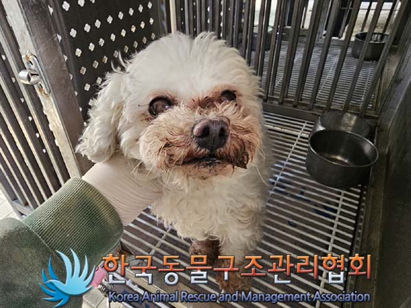한국동물구조관리협회_441406202400414