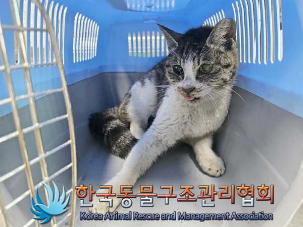 한국동물구조관리협회_441382202400197