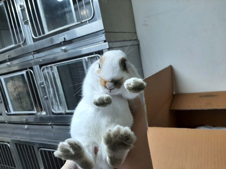 박영재동물병원_445464202401066