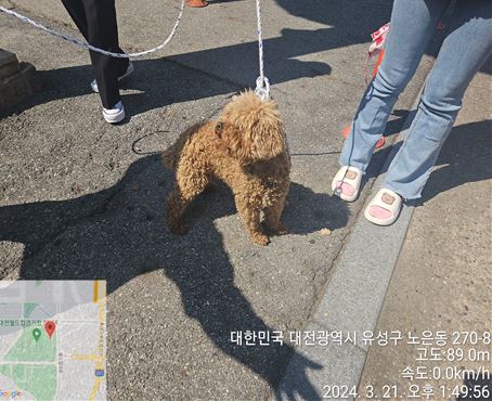 대전동물보호센터_430367202400167