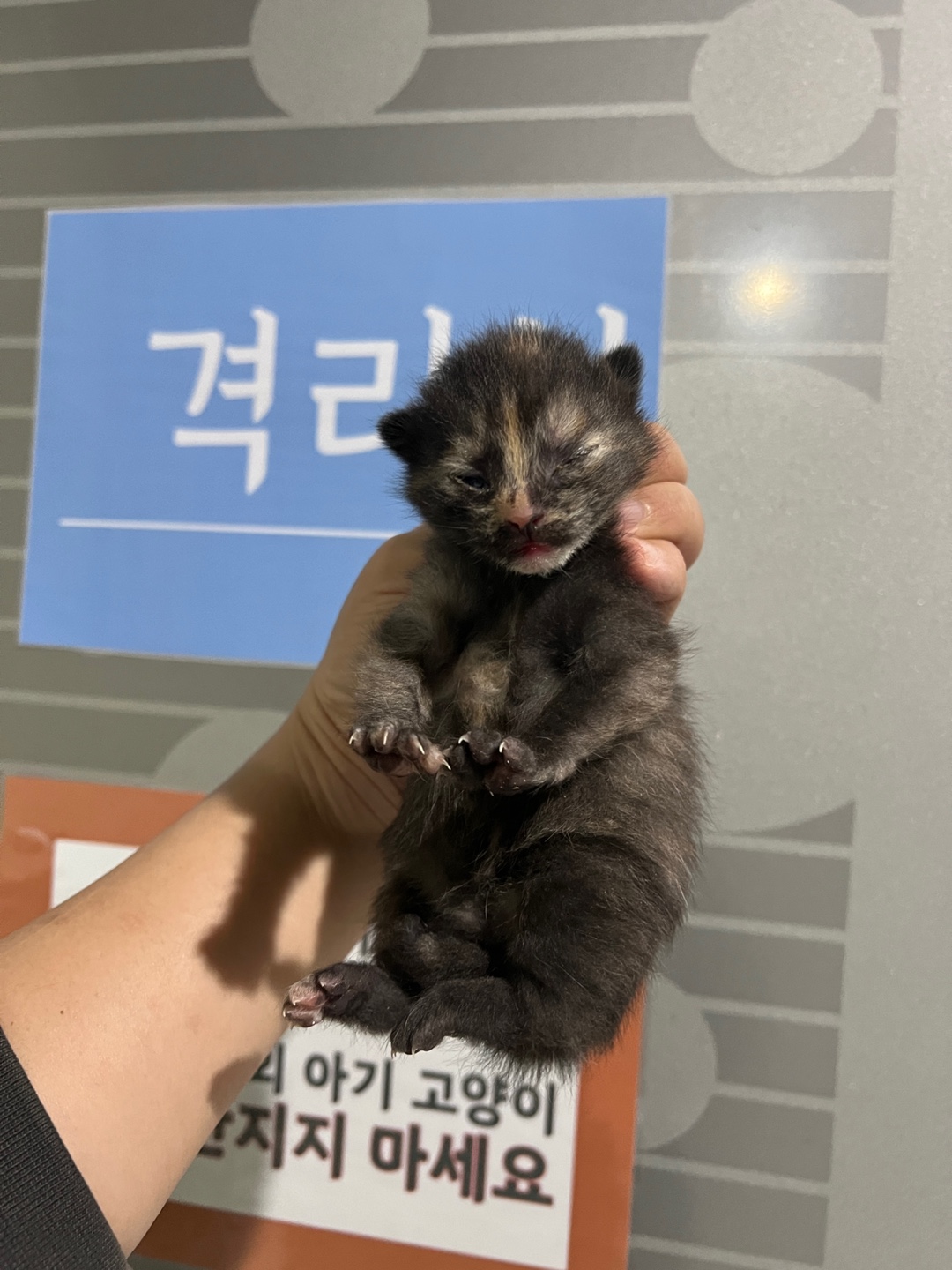 부산동물보호센터_426325202400029