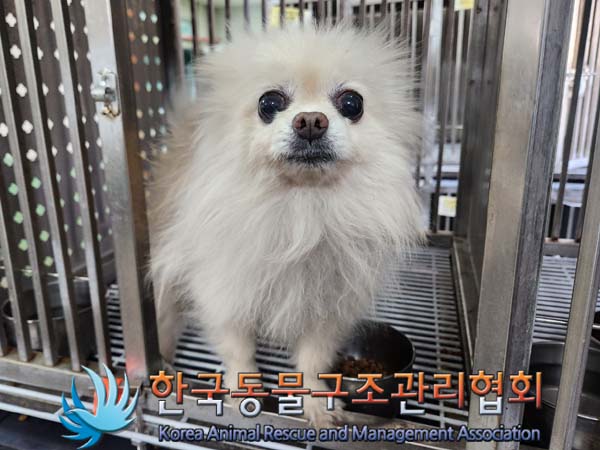 한국동물구조관리협회_411305202400106