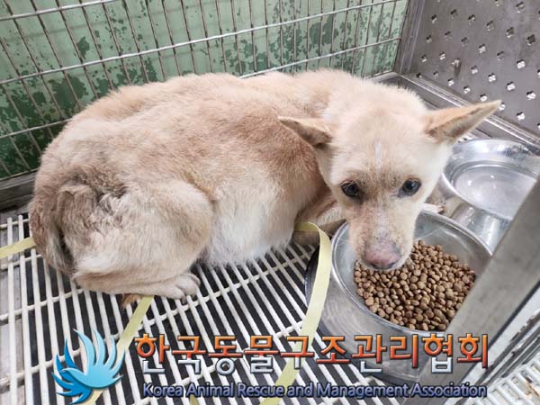 한국동물구조관리협회_441559202400160
