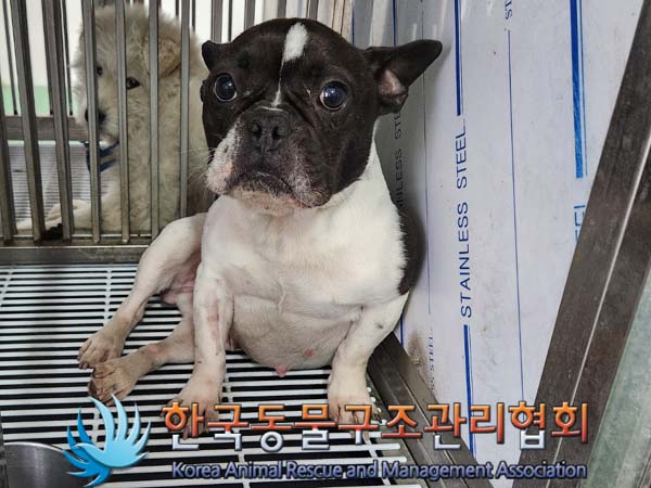 종료(반환) 프렌치…