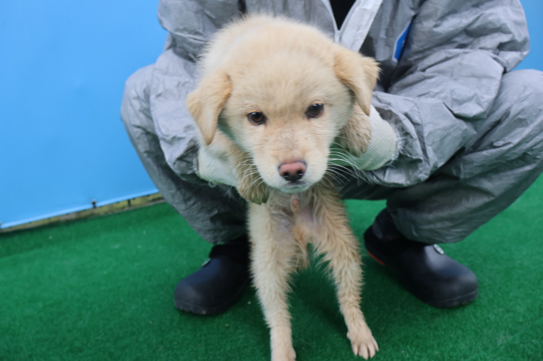 제주 동물보호센터_450650202400895