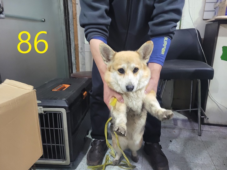 신영재동물병원_428355202400094
