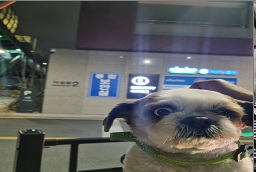 동구종합동물병원_426327202400009
