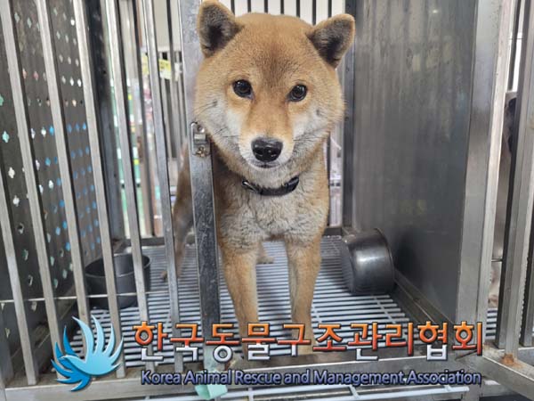 한국동물구조관리협회_411307202400116