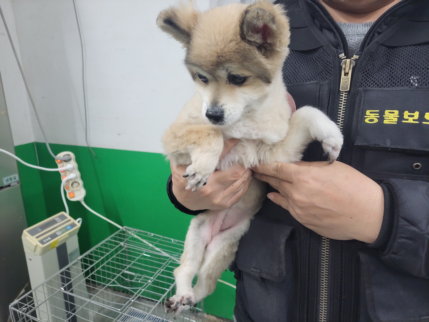고양시동물보호센터_441394202400488