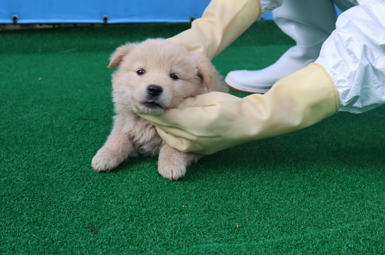 제주 동물보호센터_450650202400907