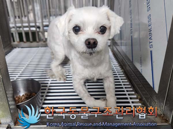 한국동물구조관리협회_411315202400114