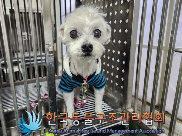 한국동물구조관리협회_411310202400038