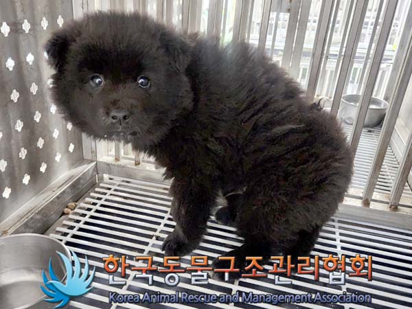 한국동물구조관리협회_441414202400146