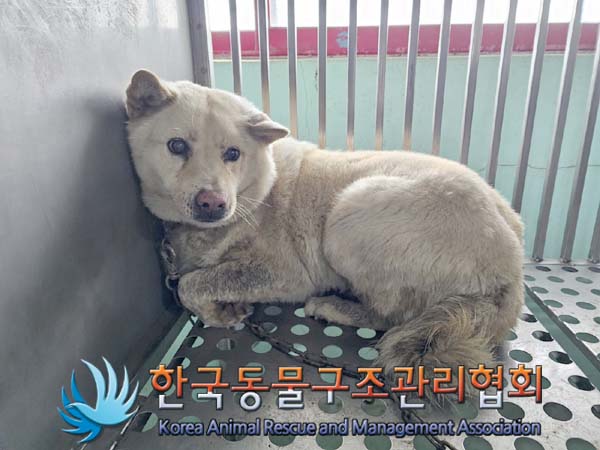 한국동물구조관리협회_441414202400150