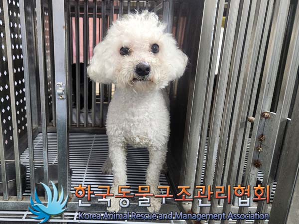 한국동물구조관리협회_441559202400165