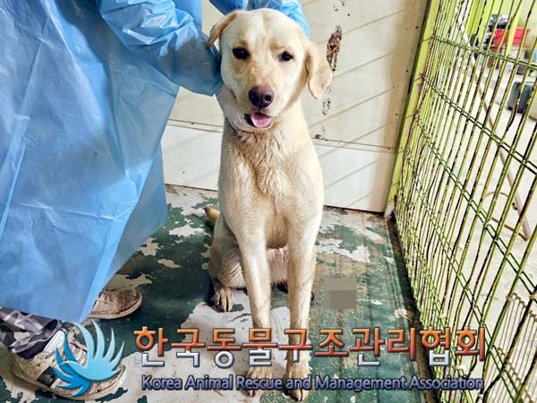 종료(반환) 라브라…