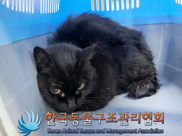한국동물구조관리협회_411315202400119