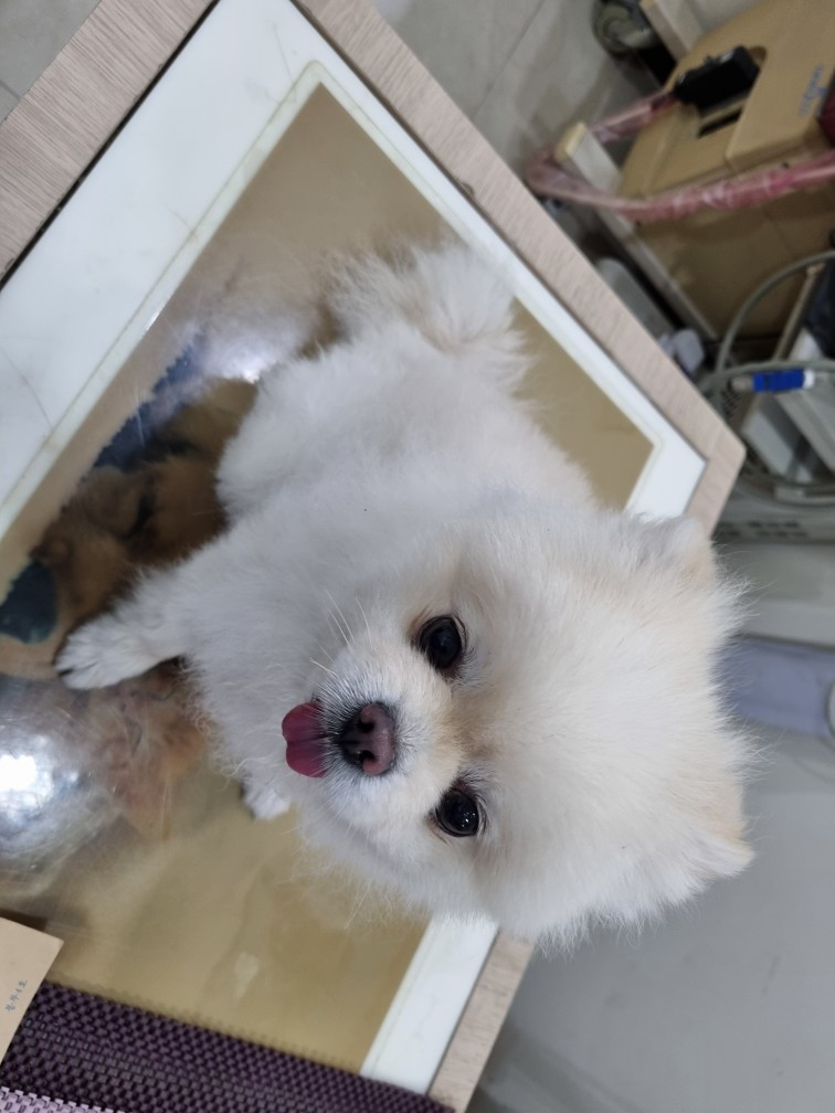 21세기동물병원_445464202401134