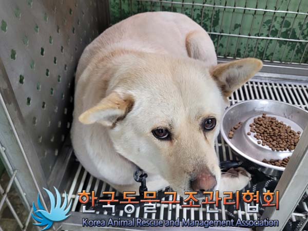 한국동물구조관리협회_411324202400082