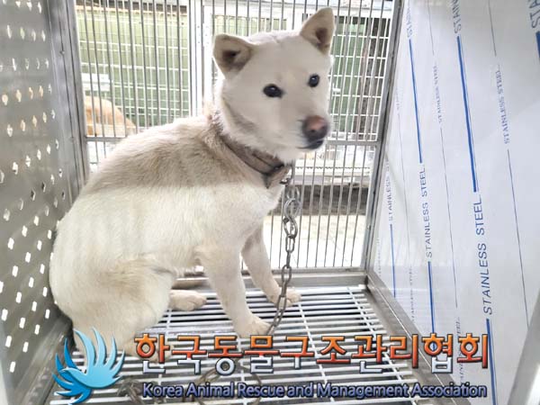 한국동물구조관리협회_441560202400301
