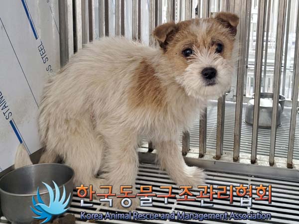 한국동물구조관리협회_441414202400152