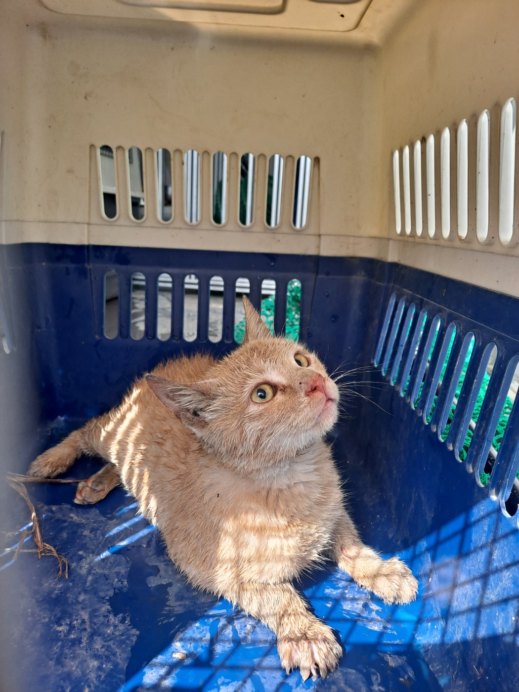 종료(자연사) 한국…