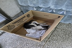 종료(자연사) 한국…