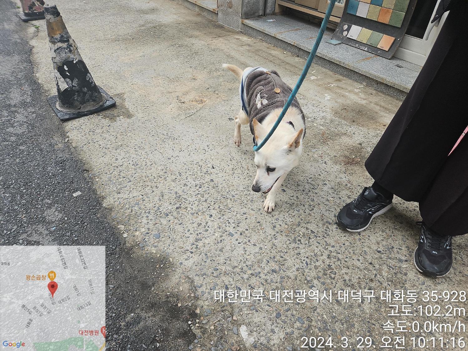 대전동물보호센터_430368202400057