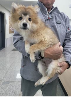 대전동물보호센터_430367202400204