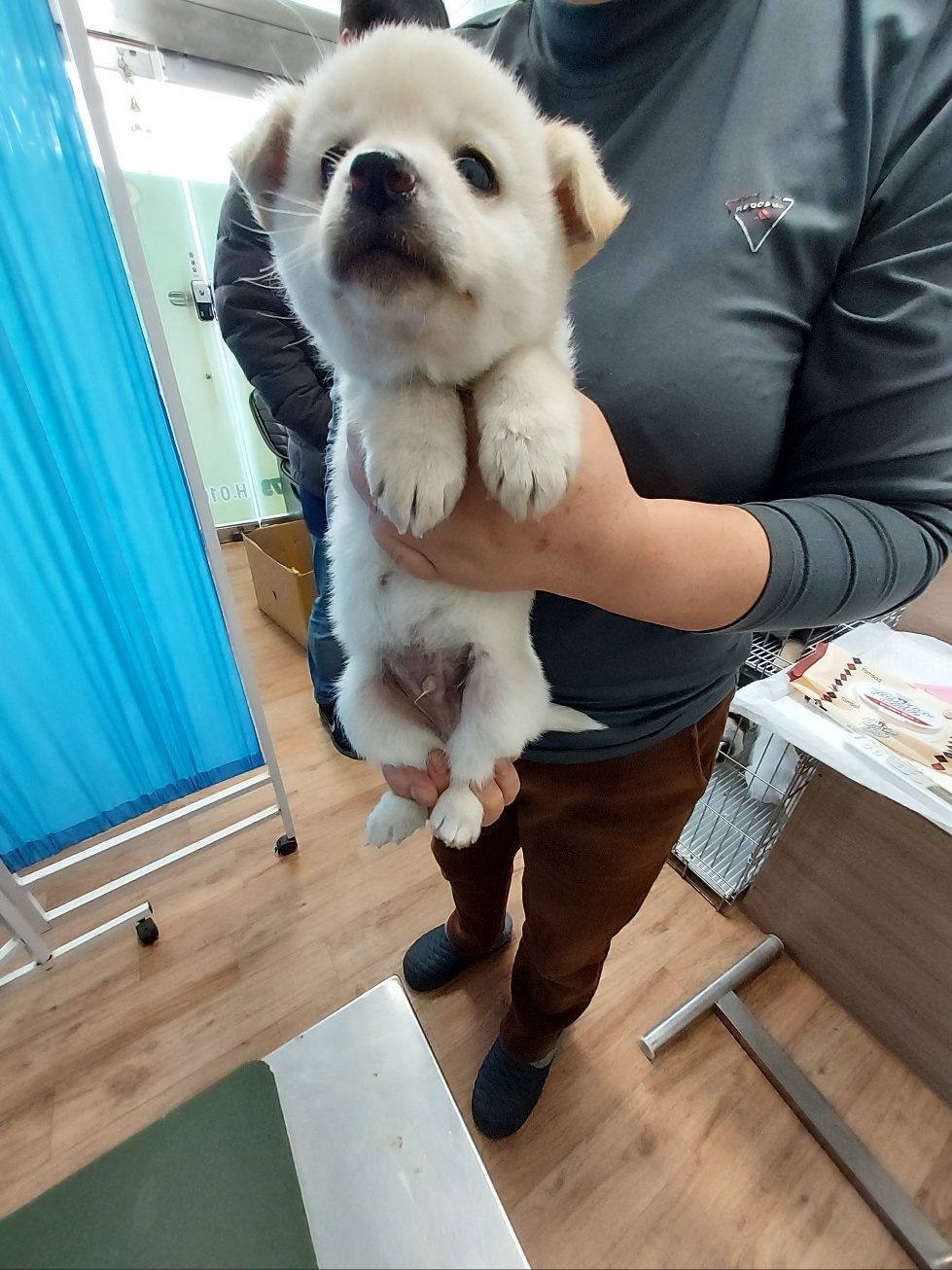 인월동물병원_445470202400466