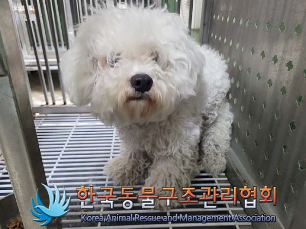 한국동물구조관리협회_411316202400150