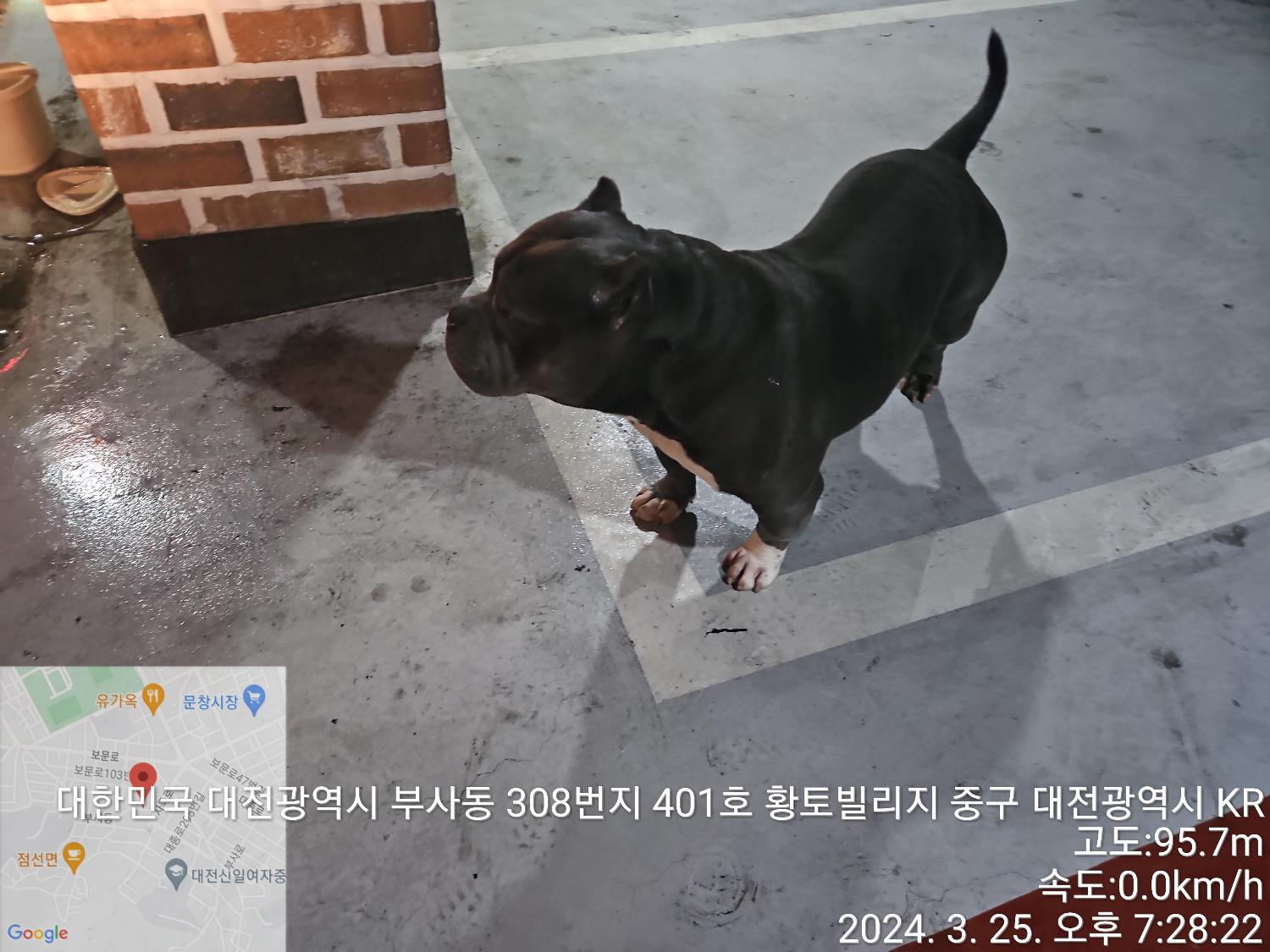 종료(반환) 프렌치…