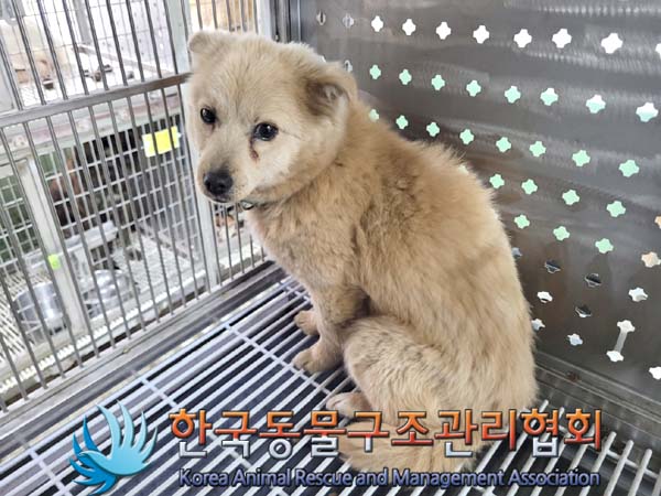 한국동물구조관리협회_441560202400303