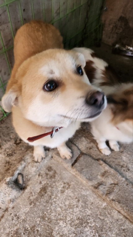 박영재동물병원_445464202401154