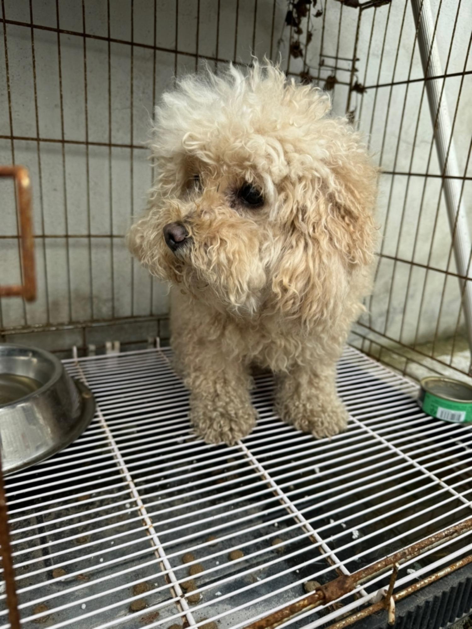 남해군유기동물보호소_448543202400078