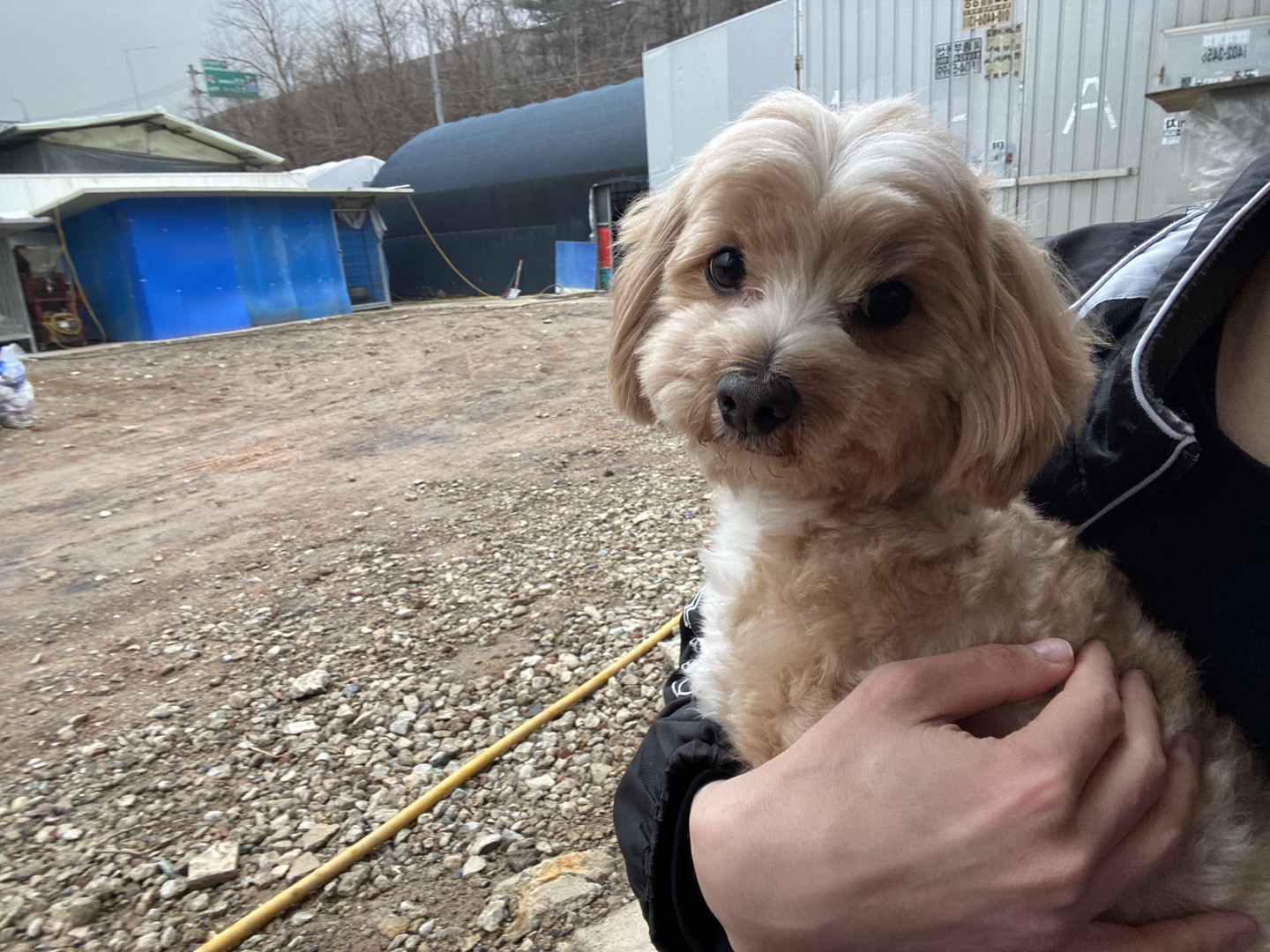 한국야생동물보호협회_441393202400571